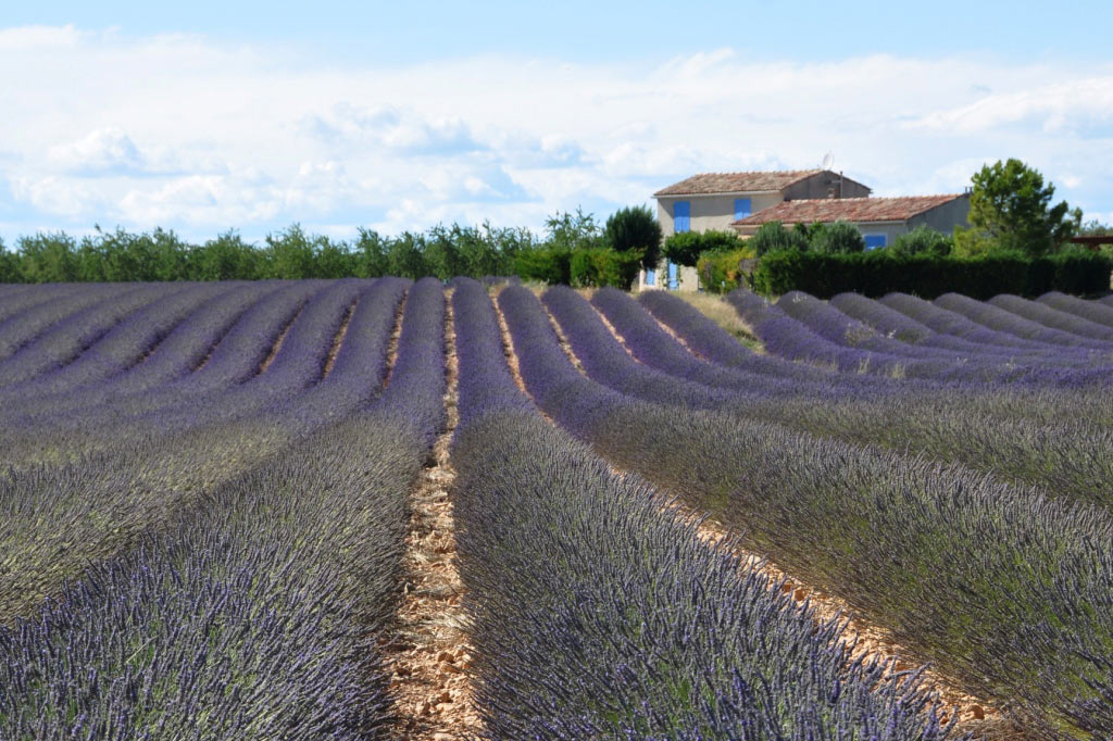 Manosque